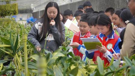 兰科奇旅，探秘自然植物宝库  ——深圳市梧桐小学开展山海自然生态校本课程暨“每周半天计划”活动