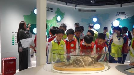 兰科奇旅，探秘自然植物宝库  ——深圳市梧桐小学开展山海自然生态校本课程暨“每周半天计划”活动