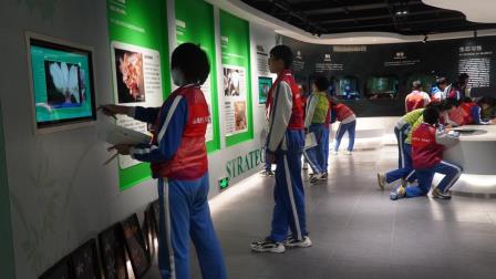 兰科奇旅，探秘自然植物宝库  ——深圳市梧桐小学开展山海自然生态校本课程暨“每周半天计划”活动