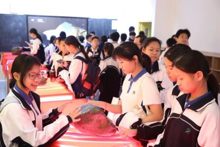 山水为卷，研学为笔——大望学校以徒步实践绘就成长新图景