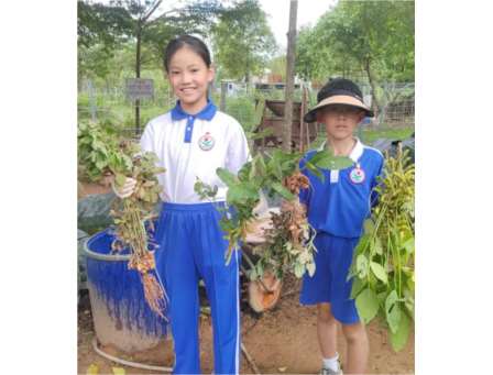 新秀小学春耕记：在泥土中播种成长——记新秀小学参与罗湖区“春耕计划”项目式学习实践