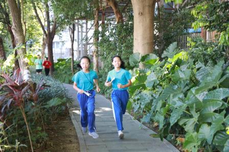 定向越野 乐在途中丨罗芳小学开展“走进沙湾河”PBL项目定向越野活动