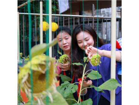 蔬趣满园 共创丰收 ——罗湖实验学校智慧农业劳动教育实践基地举行采摘活动