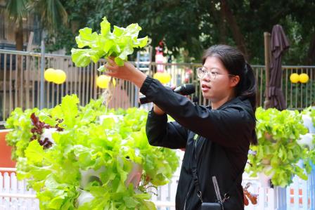 蔬趣满园 共创丰收 ——罗湖实验学校智慧农业劳动教育实践基地举行采摘活动