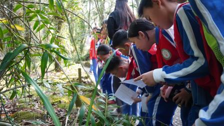 亲近兰科植物 探寻自然奥秘 —— 深圳市梧桐小学开展山海自然生态校本课程暨“每周半天计划”活动