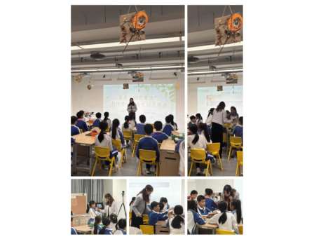 冬日暖阳聚桃园，劳动育人启新篇——2025年劳动优质课例展示交流活动圆满举行