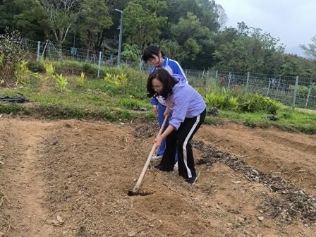 从课堂到田野，用双手创造美好——校长思政课走进“金秋读蔬会”研学实践