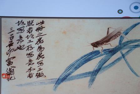 罗湖外语小学携手深圳少年儿童图书馆举办自然主题活动