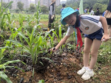 桂园教育集团春耕项目总结会暨“金秋读蔬荟”实践育人项目启动会顺利召开