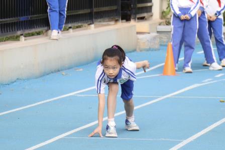 赛场砺锋芒，童心向未来 ——深圳市泰宁小学第十一届体育节圆满落幕