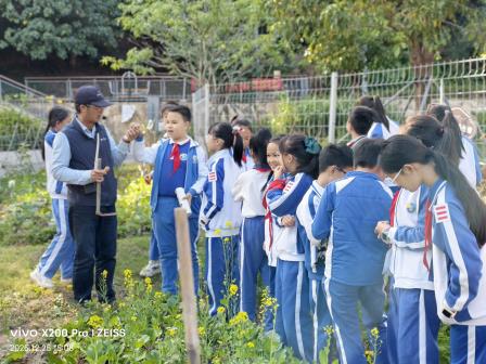 从田间到餐桌，以食物链接自然与生活 ——深圳市东昌小学“金秋读蔬荟”研学实践课程圆满落幕