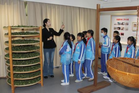 寻茶问道，传承非遗文化 ——深圳市南湖小学开展“每周半天计划”课外实践活动