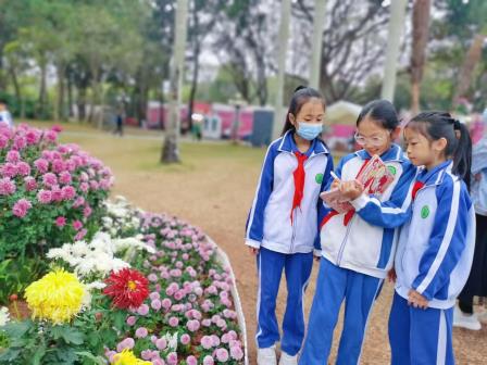 菊韵悠长 探秘自然——景园实验小学开展东湖公园菊花展研学实践活动
