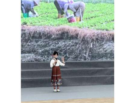 诗画茶俑绘盛唐 知行合一传文脉—— 怡景小学举行2025 语言文化节超学科学习成果展演