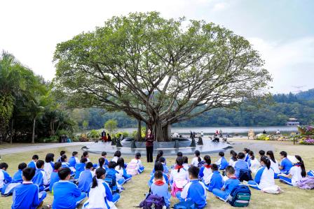 从一棵树读懂一座城——深圳市仙桐实验小学“行走思政课”在仙湖植物园生动开讲