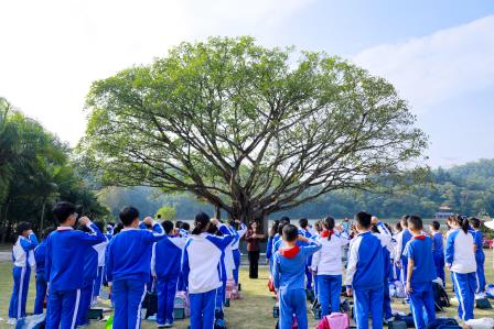 从一棵树读懂一座城——深圳市仙桐实验小学“行走思政课”在仙湖植物园生动开讲