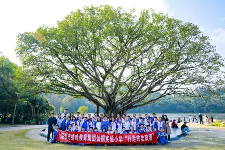 从一棵树读懂一座城——深圳市仙桐实验小学“行走思政课”在仙湖植物园生动开讲