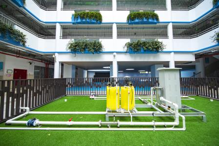 零碳之路高光不断！锦田小学斩获国省市荣誉“大满贯”