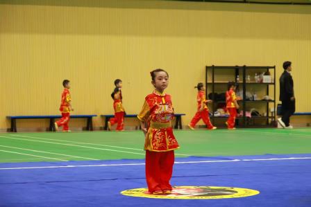 翠园东晓创新学校武术队在市级锦标赛摘金夺银