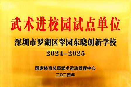 翠园东晓创新学校武术队在市级锦标赛摘金夺银