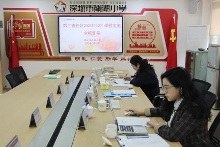 第三责任区督导组赴深圳市南湖小学开展专项督导
