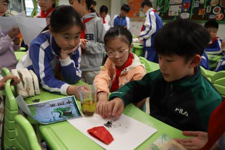 红岭小学·匠心课程｜以茶为媒，探索项目式学习新范式