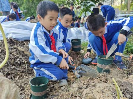 莲南教育集团秋耕研学：田间践初心 劳动育成长