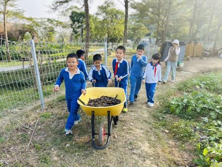 莲南教育集团秋耕研学：田间践初心 劳动育成长