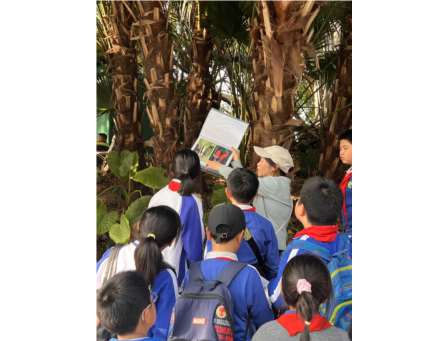 解锁植物秘密  厚植生态意识 ——向西小学“每周半天计划”主题活动在深圳人才公园圆满落幕