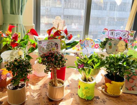东昌小学“植物选美”火热上演！ 家委点赞班级小花园：好看又有“料”
