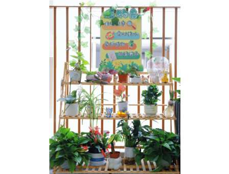 东昌小学“植物选美”火热上演！ 家委点赞班级小花园：好看又有“料”