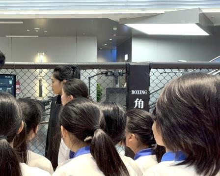 罗中荣耀｜杨钰莹老师荣获国家级“人工智能+基础教育”应用场景典型视频二等奖
