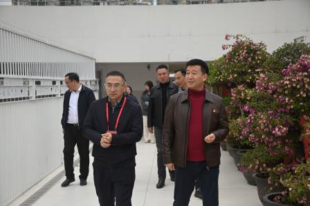 市区人大代表调研组到桂园中学进行视察