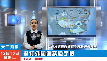 闪耀创意火花，绽放科技魅力——翠竹外国语实验学校2025年校园创客节圆满落幕