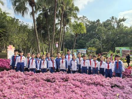 以菊为媒，融创未来——怡景小学“菊韵秋香”跨学科项目式学习全景纪实