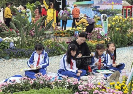 以菊为媒，融创未来——怡景小学“菊韵秋香”跨学科项目式学习全景纪实