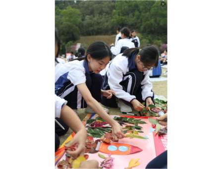 每周半天踏绿途 青春励志迎新岁 ——南科大附属罗湖中学初二年级“每周半天计划”徒步研学活动圆满举行