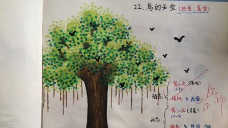 创新作业润校园，让学习“活”起来