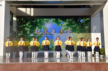 善于规划能践行，笃行不怠终至远 ——深圳市翠北实验小学主题升旗仪式（第十九周）