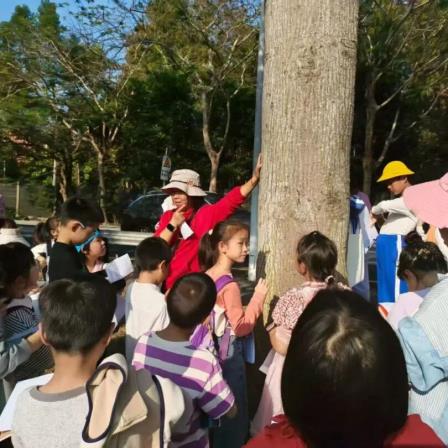 树影随行，节气相伴——大梧桐青少年木棉节气观察计划启动