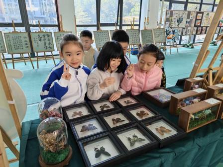 展社团风采，筑梦想舞台——深圳市仙桐实验小学优秀社团成果展示活动圆满举行