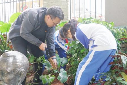 党建带队建   植绿添新绿 ——罗湖小学开展校园植树活动