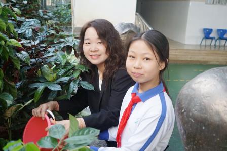 党建带队建   植绿添新绿 ——罗湖小学开展校园植树活动