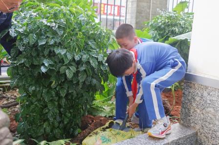 党建带队建   植绿添新绿 ——罗湖小学开展校园植树活动