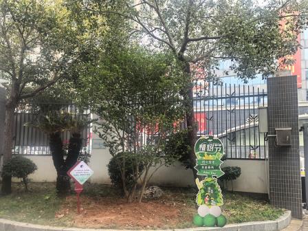 四十春秋育桃李 同心植绿向未来 ——翠北实验小学40周年校庆植树节系列活动圆满举行