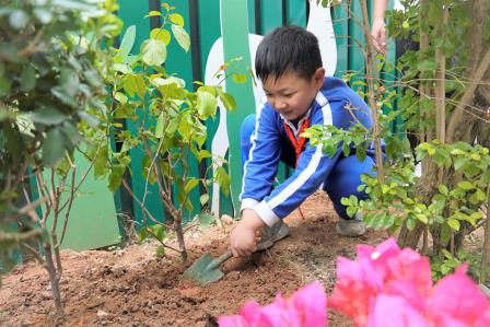 植绿添彩美校园——深圳市凤光小学开展植树节种植活动