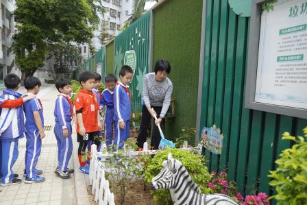 植绿添彩美校园——深圳市凤光小学开展植树节种植活动