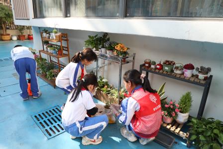 绿满校园守初心，双碳践行共成长——深圳市锦田教育集团锦田小学开展“双碳实践”植树节主题活动