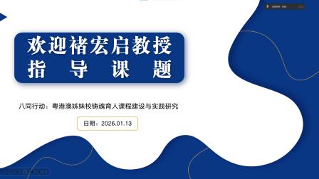 褚宏启院长指导南湖小学姊妹学校爱国主义教育课题