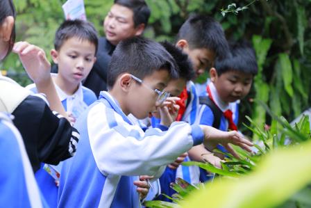 邂逅自然 探索奥秘——深圳市仙桐实验小学开展“每周半天计划”校外实践活动